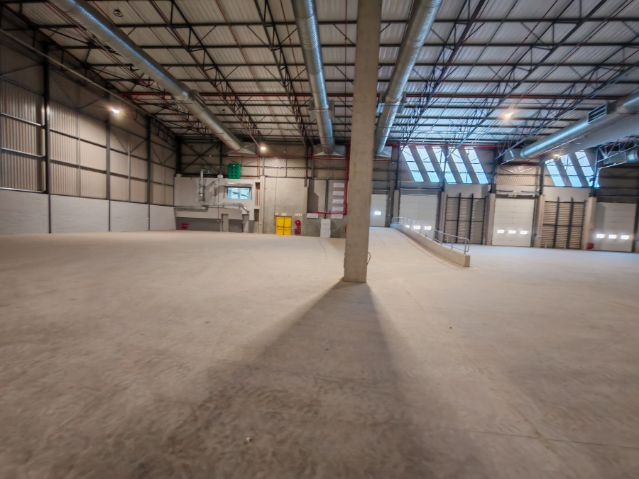 To Let commercial Property for Rent in Blackheath Industrial Western Cape